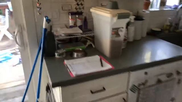 Dexter and Rita Kitty Mail 😻 смотреть онлайн