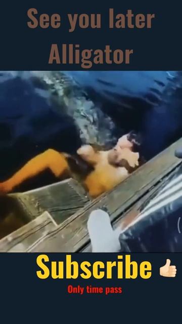😱 See you later Alligator🐊🐊 | #shorts смотреть онлайн