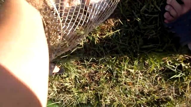 2014 08 19 117 смотреть онлайн