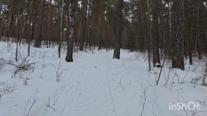 Пеший зимний поход на скалу Ермак. Красноярские столбы.