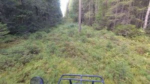 Suzuki LT300 King Quad ЛЭП