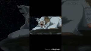 /клип Коты воители/ Молния