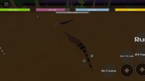 orinoco vs jaguar vs black caiman