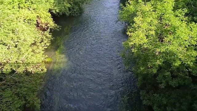 Down Kazanka River Bicycle Trip Вело вдоль Казанки Каменка Дачное Березовка 20240807 154534 смотреть онлайн