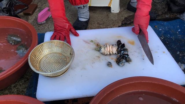 Korean street food | abalone and sea cucumber sashimi смотреть онлайн