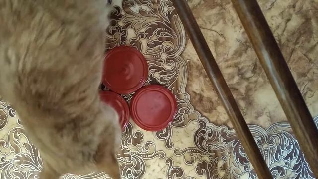 на10 просмотров будет вторая часть 🤗🤗🤗😊😊 смотреть онлайн