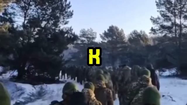 доброволец.рф