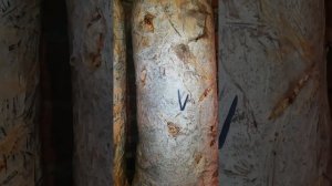 Грибы пошли))
Выращивание грибов в домашних условиях.
Огород в подвале.