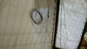 Осмотр модели яхта Америка.