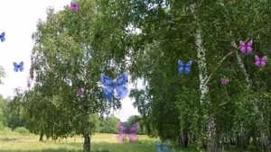 НА ДАЛЬНЕЙ СТАНЦИИ СОЙДУ ,,,,