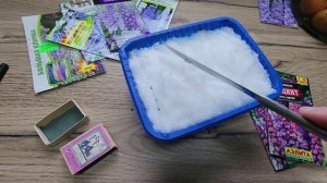 Как ускорить всхожесть семян. Где храню клубни ГЕОРГИНОВ