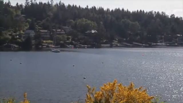 2010 CRD EcoStar Water Stewardship Winner - Mary Cooper смотреть онлайн