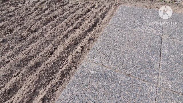 Vlog 🇩🇪 Дача в Германии /Пора Сеять Редиску Отвечаю на вопросы/ Навела порядок 🏕 смотреть онлайн