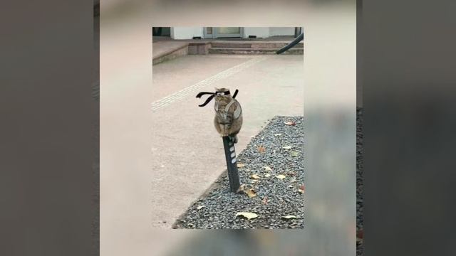 Kizaru, Gunna, Future type beat смотреть онлайн