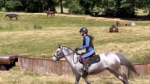 Midnight Jasmine - 14 year old POA Large pony mare- Cross country schooling - May 2024 смотреть онлайн