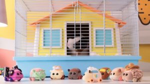 Pui Pui Molcar - Plush & Fuzmol Ad (English)