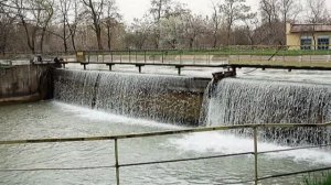 Ташкентские улочки. Фильм и песни Каменского Александра Васильевича