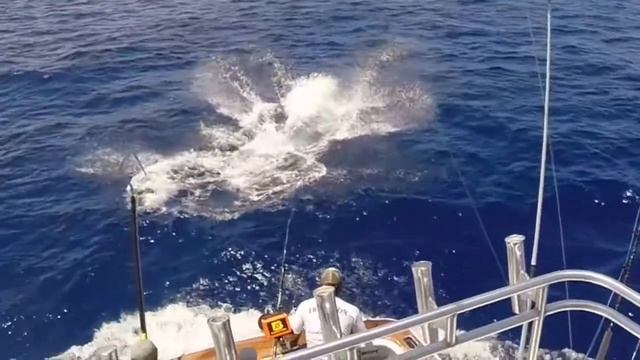 Grandertime Black Marlin - bluewaterfishing.eu смотреть онлайн