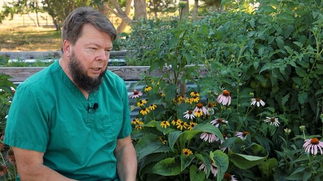 The Secret to Medicinal Echinacea | Herbal Plant Review with Doc Jones смотреть онлайн