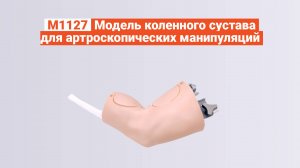 М1127 - Модель коленного сустава для артроскопических манипуляций