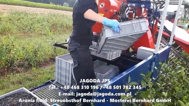 Уборка Аронии комбайном Ярек смотреть онлайн