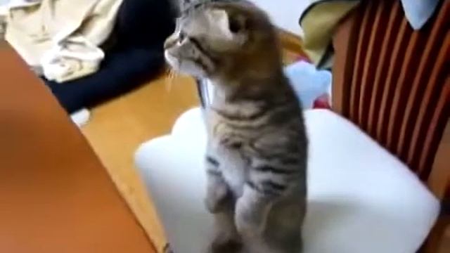 веселое содружество converted смотреть онлайн