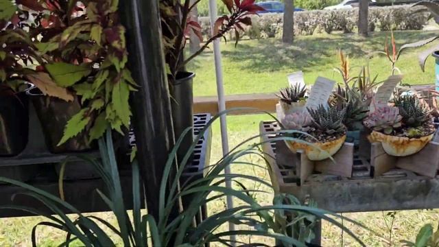 Музыка ветра. Интересные колокольчики смотреть онлайн