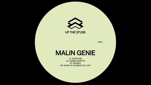 Malin Genie - Pany (UTS12) смотреть онлайн