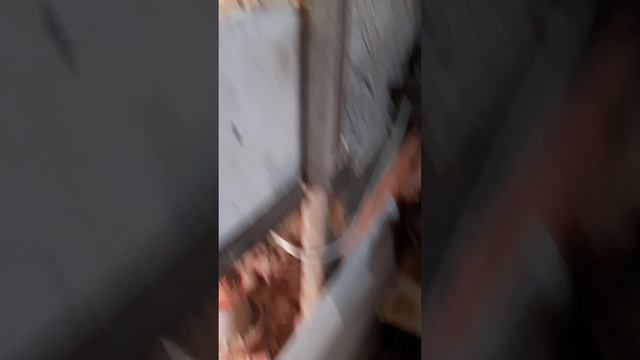 Содержание бройлера,переход корма со старта на рост.