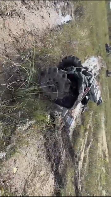 asasinators on. Grizzly 700 смотреть онлайн