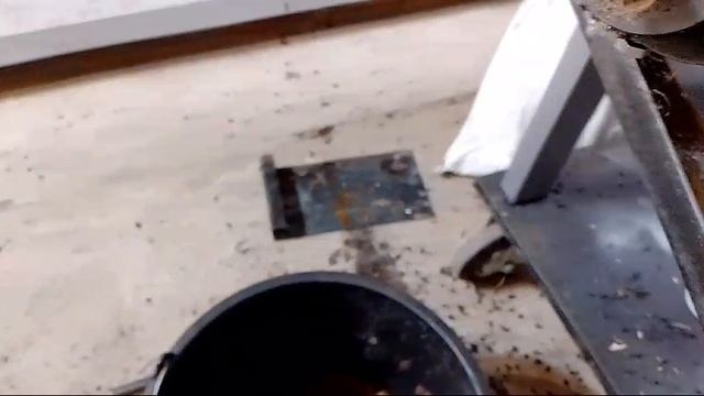 Отжим жира личинки черной львинки смотреть онлайн