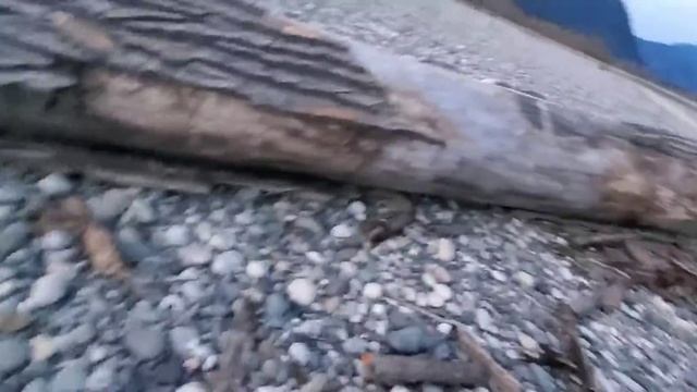 Power Carving and finding Free Wood to Carve.