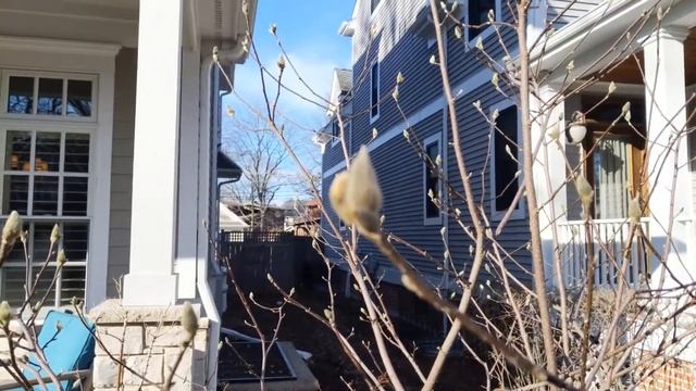 Magnolia bud смотреть онлайн
