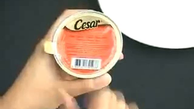 Scoop Cesar By Jasmine 2 смотреть онлайн