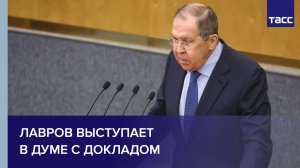 Лавров выступает в Думе с докладом