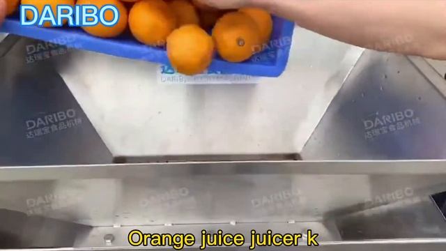 orange lemon kumquat citrus juice extractor