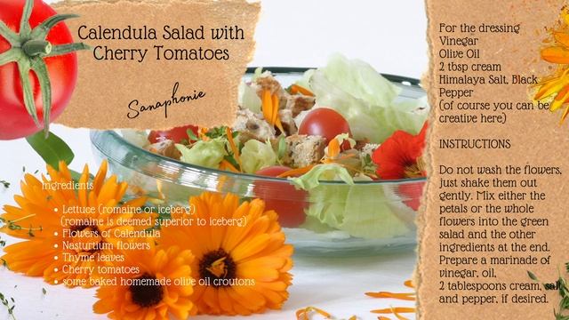 Calendula officinalis - Healing Plant - Sanaphonie