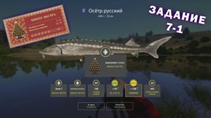 РР4 | Новогодние задания (экстра) | Этап 7 (задание 1) | Сура