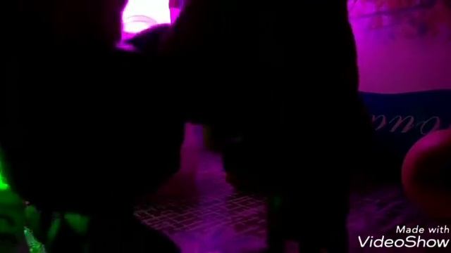 LPS клип элджей рваные джынсы смотреть онлайн