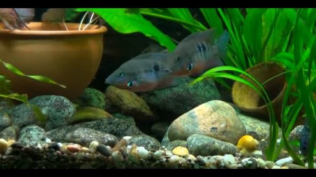 Фильм 06 смотреть онлайн