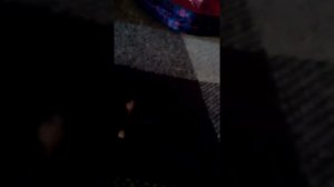 Барбоскины держи себя в руках пародия