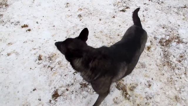 Muha 1395 смотреть онлайн