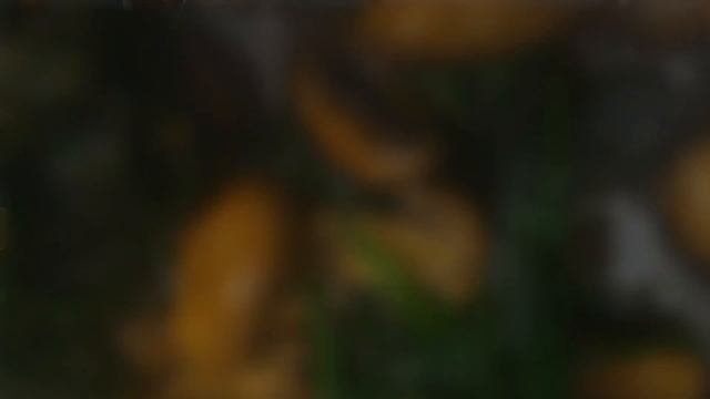 We made the MEATIEST VEGAN LASAGNE and more! - Living On The Veg Ep.2 смотреть онлайн