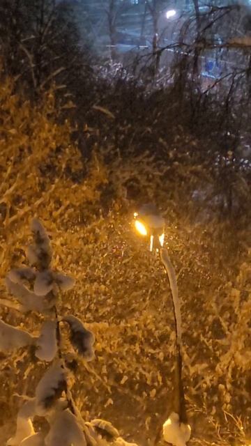 Снегопад ❄️❄️❄️