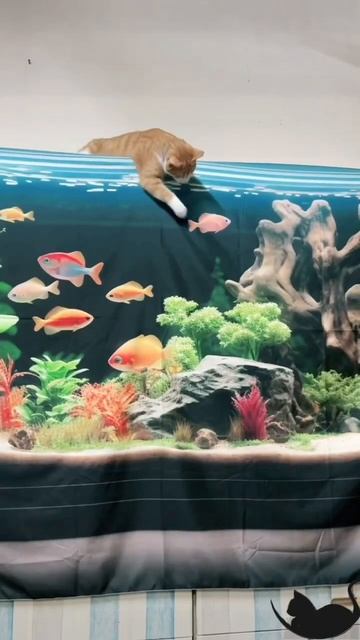 😽🐾 #抓魚 #鳥泥柚吉 #水族箱 #掛布 #貓 #猫 #cat #meow #推薦 #熱門 #fyp смотреть онлайн