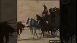 RACING HORSES/ СКАЧКИ ЛОШАДЕЙ