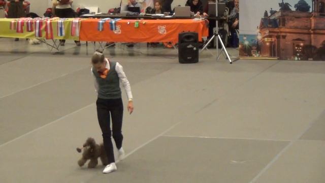 Ирина Латинская и ДИЗА ФЛЕЙЧ ЭКЕНЕДИЛИЧУКВУ ТРАЙСИ. Дебют-фристайл. смотреть онлайн