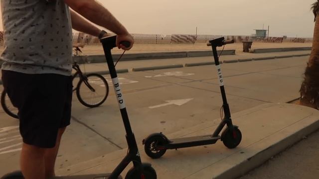 TARA SA CALIFORNIA! RODEO DRIVE, VENICE BEACH & SANTA MONICA (USA VLOG DAY 15) ❤️ | rhazevlogs смотреть онлайн