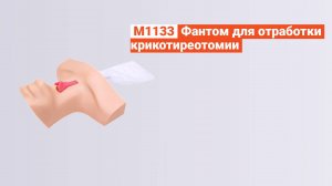 М1133 - Фантом для отработки крикотиреотомии