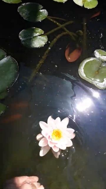 28 июня 2022 г. смотреть онлайн